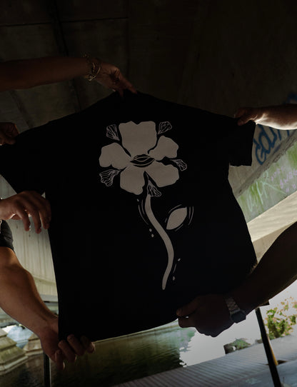 Broderie Pull-Up x Aestcart